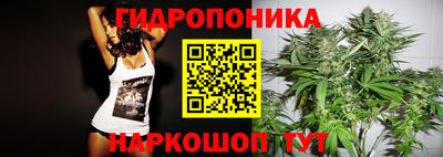 spice Волжск