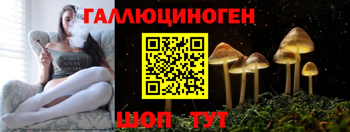 Галлюциногенные грибы GOLDEN TEACHER Новороссийск